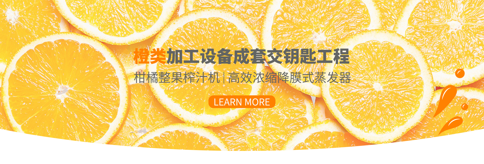 揚州福爾喜果蔬汁機械有限公司